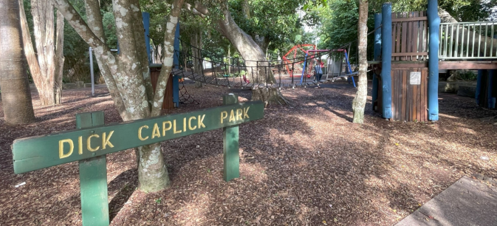 Community consultation now open for rickety bridge in Dick Caplick Park